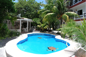 playa del carmen hotel playa del carmen mexico hotel accomodations